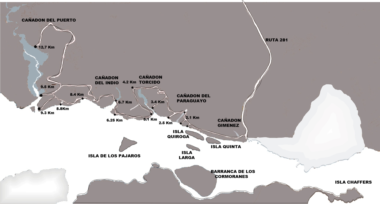 Gráfico1.jpg