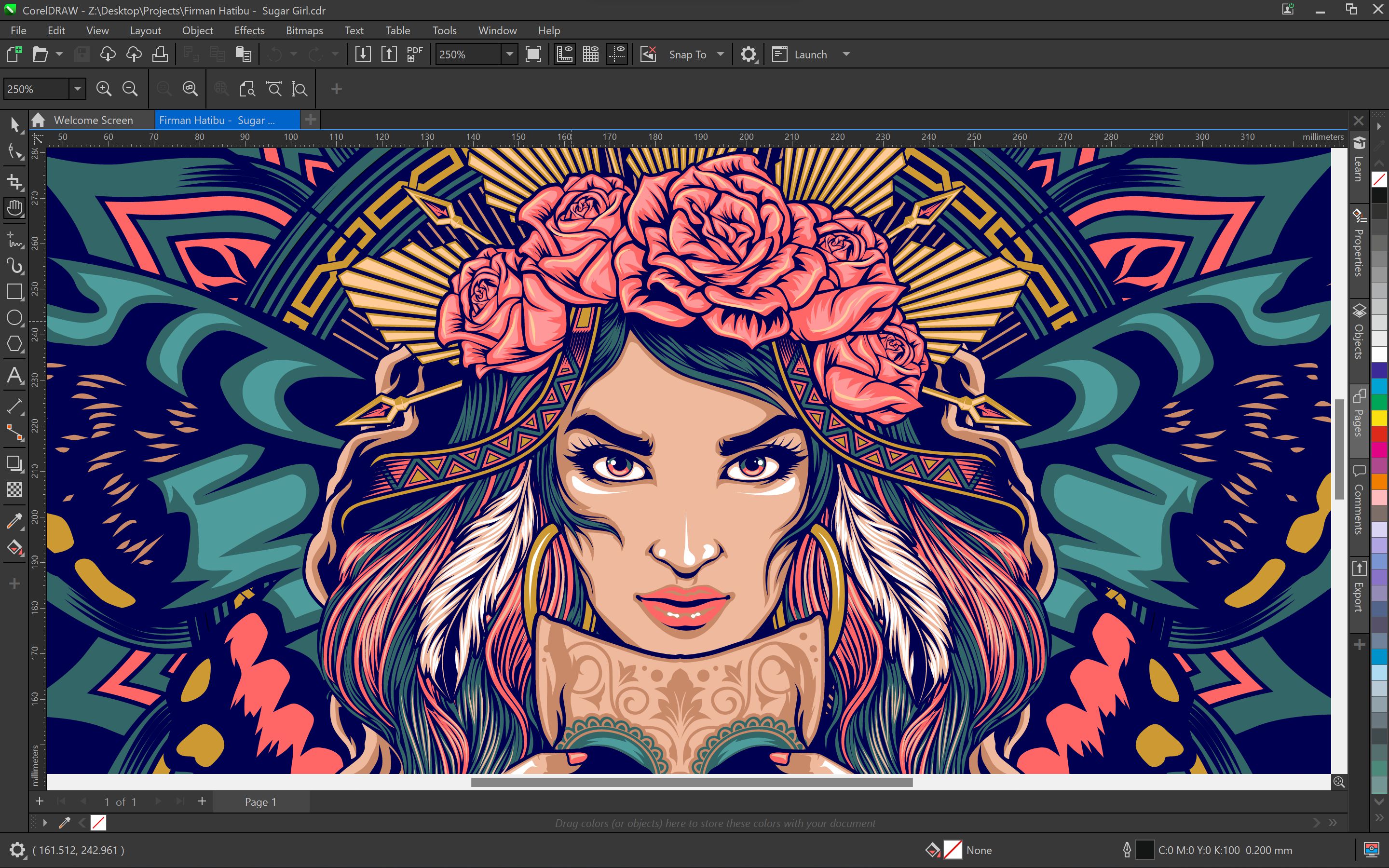 CorelDRAW(Windows)-Screenshot-EN.jpg