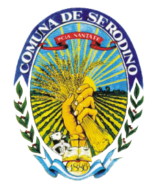 LOGO SERODINO (2).png