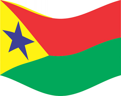bandera.jpg